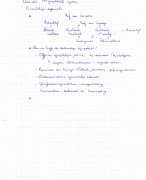 Expertise en Ongevallenanaylse Notities + Samenvatting Examen