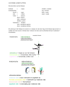 Samenvatting anatomie blok orgaansystemen tandheelkunde (bachelor 1)