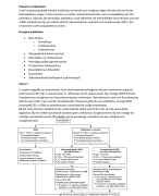 Antibiotica opdracht