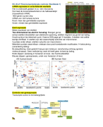 Biomedische Wetenschappen Genoom Deel II