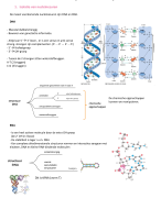Samenvatting moleculaire biologie en DNA technologie