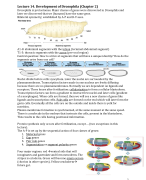 Biomedische Wetenschappen Ontwikkelingsbiologie Deel II
