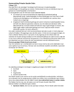 Samenvatting Primaire Sociale Orde (hoorcolleges)