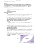 Samenvatting Management en Organisatie
