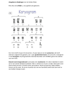 Samenvatting genetica met examenvragen