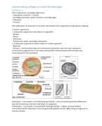 Samenvatting colleges en boek Microbiologie WUR