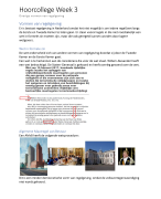 Hoorcollege Constitutioneel recht Week 3