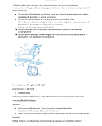 Diabetes zorgthema 4