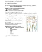 Aantekeningen vergelijkende anatomie en embryologie, HLO jaar 2