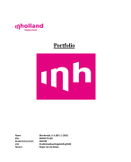 Portfolio MWD ( VIV Enterprise)