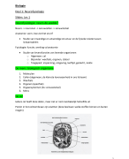 Biologie 1ste jaar Toegepaste Psychologie