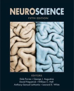 Uitgebreide samenvatting Neurowetenschappen