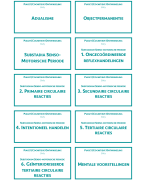  Oefenkaartjes Ontwikkelingspsychologie: Piaget/Cognitieve Ontwikkeling, Baby