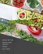 Ontwerprapport NEXT WEB