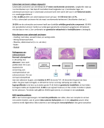 Samenvatting cluster abdomen, colleges schriftelijke toets: colorectaal carcinoom
