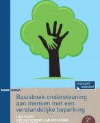 Samenvatting ondersteuning aan mensen met een verstandelijke beperking 