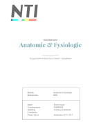 Eindopdracht Anatomie & Fysiologie 