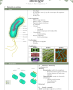 FOCUS biologie 4.2: thema 5: Micro-organismen