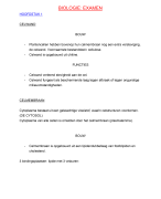 Biologie: De cel