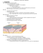 Anatomie Sensorisch systeem ZT: ADL