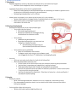 Anatomie Het cardiovasculaire stelsel - bloedsomloop 