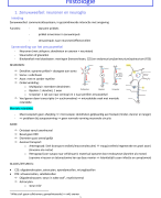 Histologie (Zenuwstelsel en zintuigen)