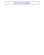 neuro-embryologie (Zenuwstelsel en zintuigen)
