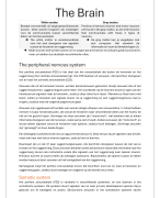 Zelfstudie: primer to the nervous system