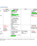 Samenvatting pediatrische pathologie 2