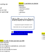 schemas ervaringsgericht werken en ontwikkelingsfasen