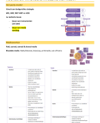 marketing communicatie hoofdstuk 4