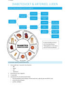 Samenvatting chronische complicaties van diabetes op lange termijn (arterieel) van Dr. aerden