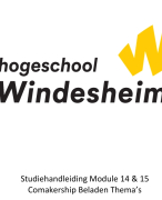 Onderzoeksrapport: Beladen thema's (Social Work jaar 2)