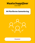 H4 – Pluriforme Samenleving | Samenvatting Maatschappijleer (Essener)
