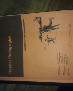 Samenvatting Pedagogiek READER, Hanze hoge school, Jaar 1 Social work