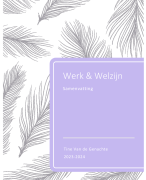 Samenvatting Werk & Welzijn