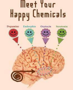 Samenvatting (NLs) van het boek Meet Your Happy Chemicals van Loretta Graziano Breuning - door Uitblinker