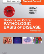 Samenvatting Pathologic Basis of Disease H7