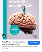 Samenvatting hoofdstuk 4 het geheugen