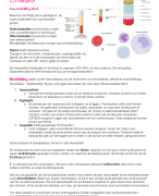 DNA en bloedonderzoek