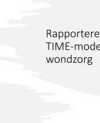 powerpoint Wondzorg en TIME model