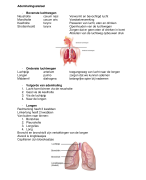 samenvatting Anatomie, Wat te weten voor de toets