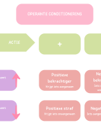Overzicht operante conditionering