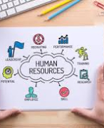 Human resource management/ functions 
