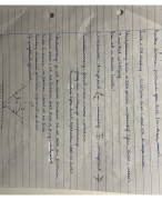 Samenvatting optische fenomenen