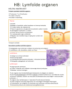 Samenvatting lymfoïde organen