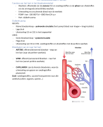 Het cardiovasculair stelsel (inleiding)  