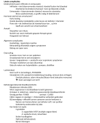 verpleegkundige methodiek 1
