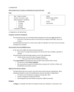 Summary Geography Eduhint 2TTO Chapter 3.1-3.3 + 3.5