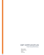 EBP verpleegplan Inholland